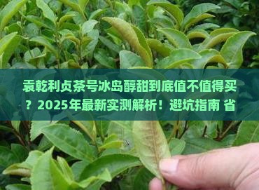 袁乾利贞茶号冰岛醇甜
