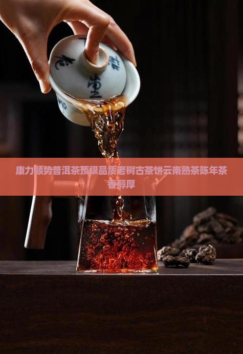 康力顺势普洱茶