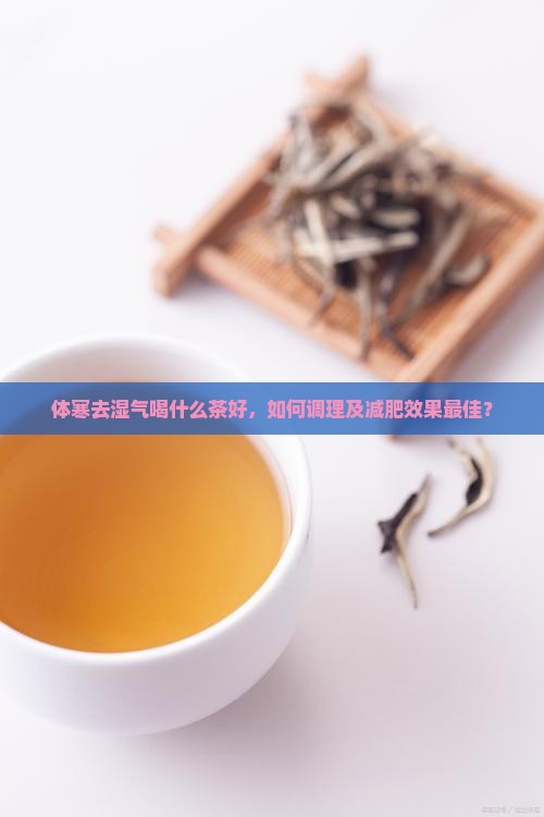 体寒去湿气喝什么茶