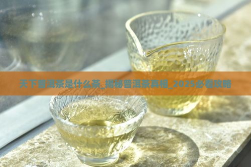 天下普洱茶是什么茶