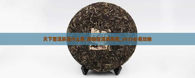 天下普洱茶是什么茶