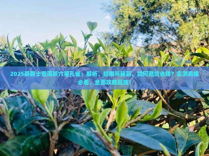 茶爵士普洱茶六星孔雀