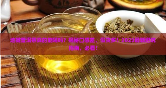 地摊普洱茶怎么样