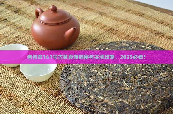 老班章161号古茶