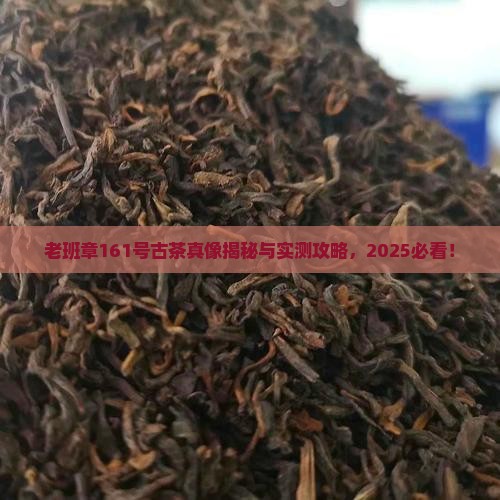 老班章161号古茶