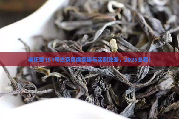 老班章161号古茶