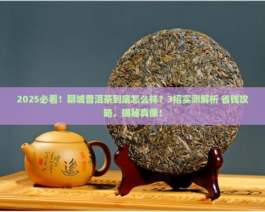 聊城普洱茶怎么样