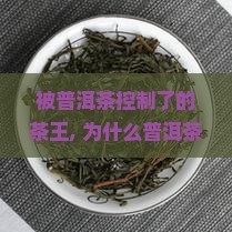 被普洱茶控制了的茶王