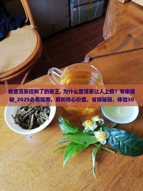 被普洱茶控制了的茶王