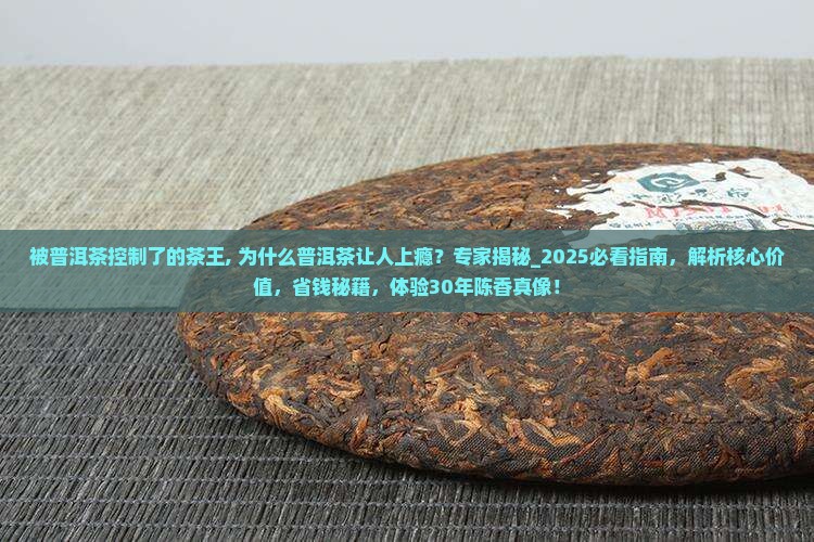 被普洱茶控制了的茶王
