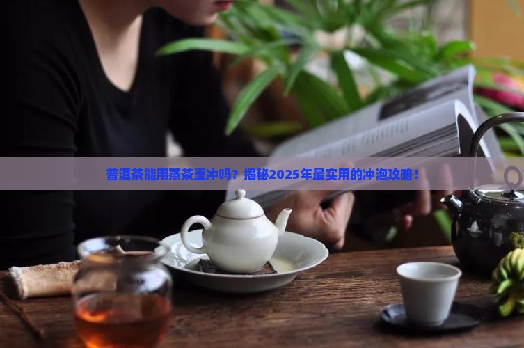 普洱茶可以用蒸茶壶冲吗