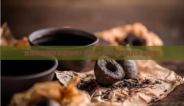 普洱茶可以用蒸茶壶冲吗