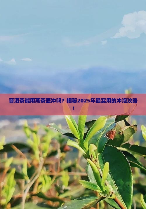 普洱茶可以用蒸茶壶冲吗
