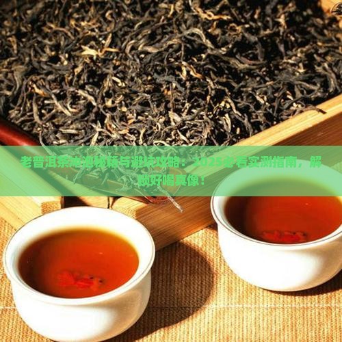 老普洱茶怎么冲泡好喝