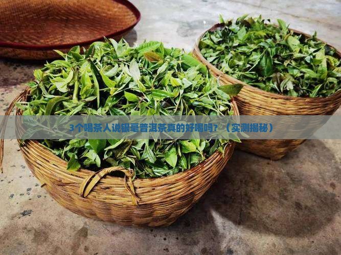 银毫普洱茶怎么样