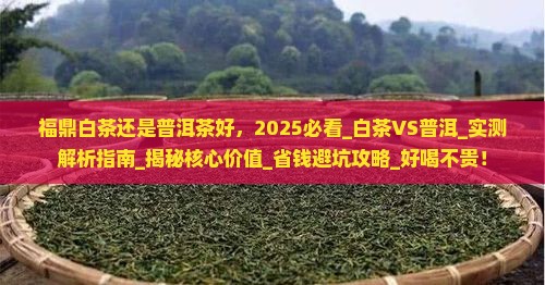 福鼎白茶还是普洱茶好