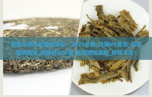 福鼎白茶还是普洱茶好