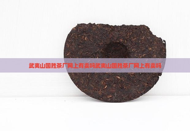 武夷山国胜茶厂网上有卖吗