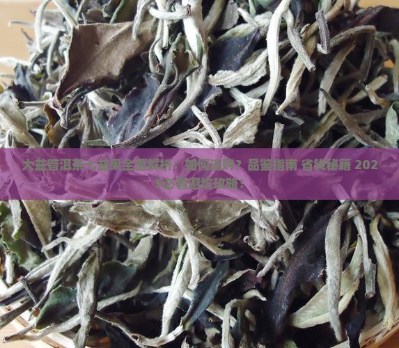 大益普洱茶之七益果