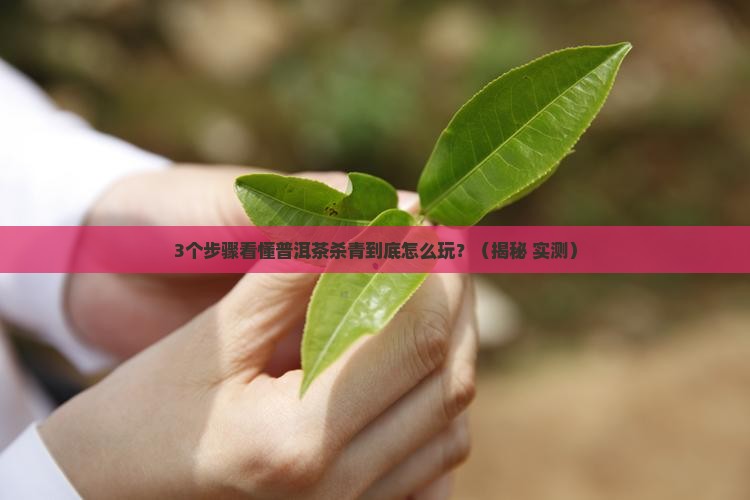 普洱茶杀青的精髓