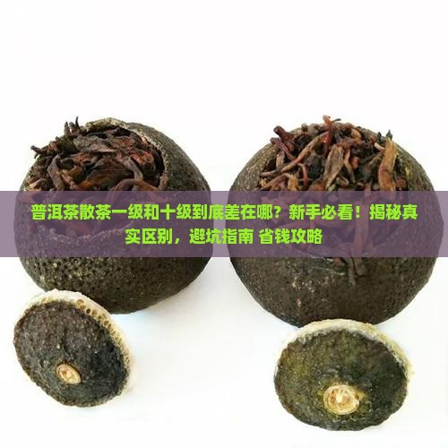 普洱茶散茶一级和十级区别