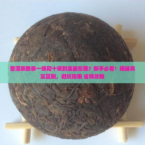 普洱茶散茶一级和十级区别