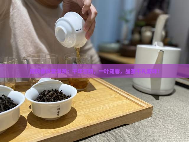 楚韵春秋普洱茶