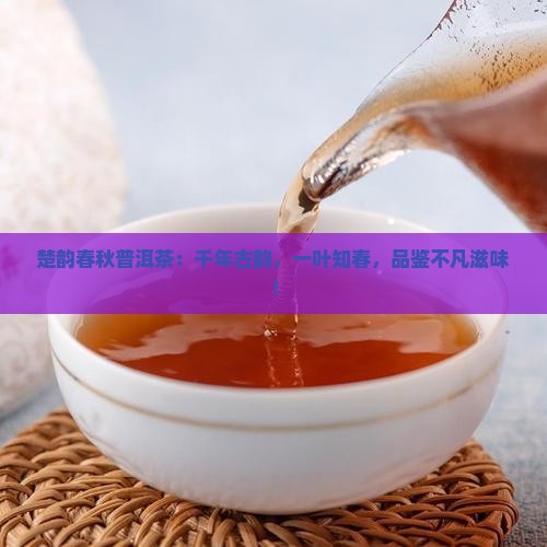 楚韵春秋普洱茶