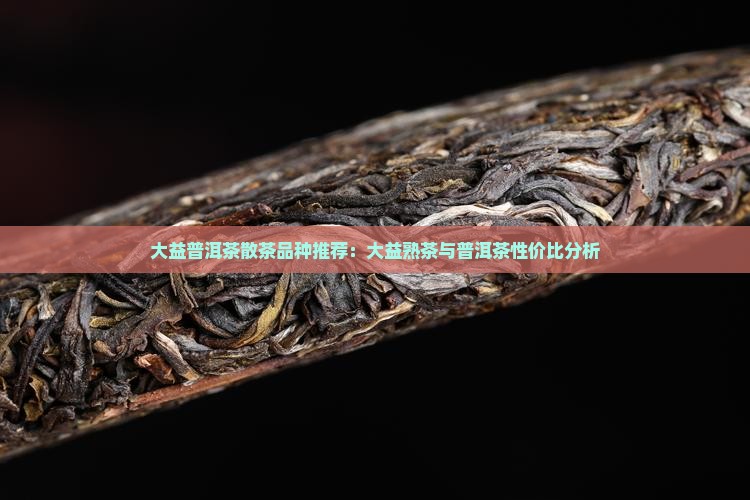 大益普洱茶散茶品种