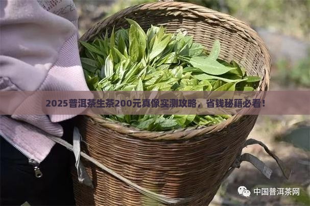 普洱茶生茶200价格