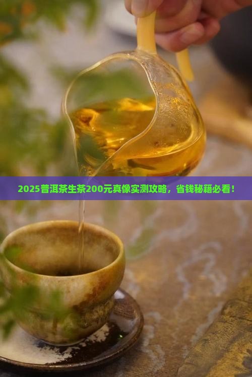 普洱茶生茶200价格