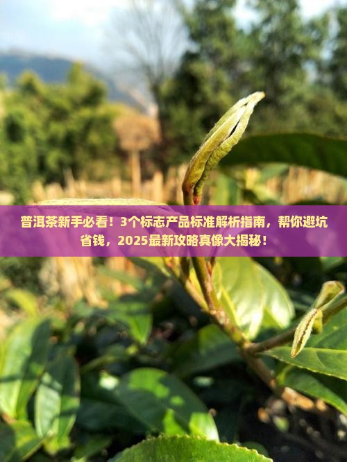 普洱茶标志产品标准
