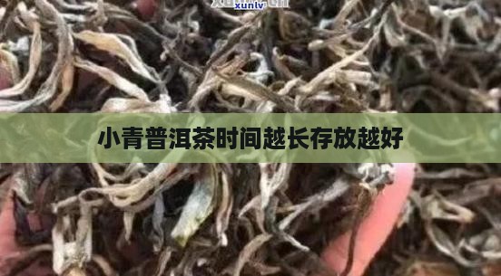 小柑橘普洱茶放越久越好吗