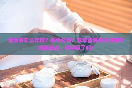 普洱茶怎么年份