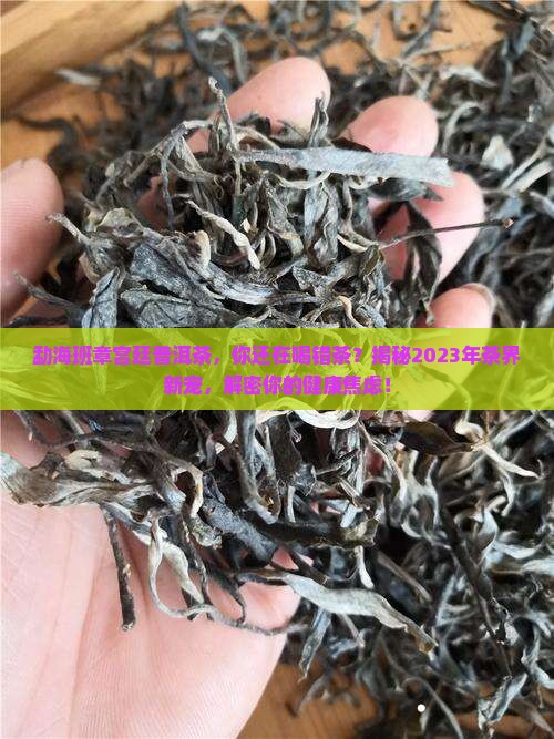 勐海班章宫廷普洱茶