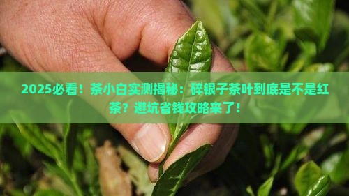 偏偏这些碎银碎银子茶叶是红茶吗
