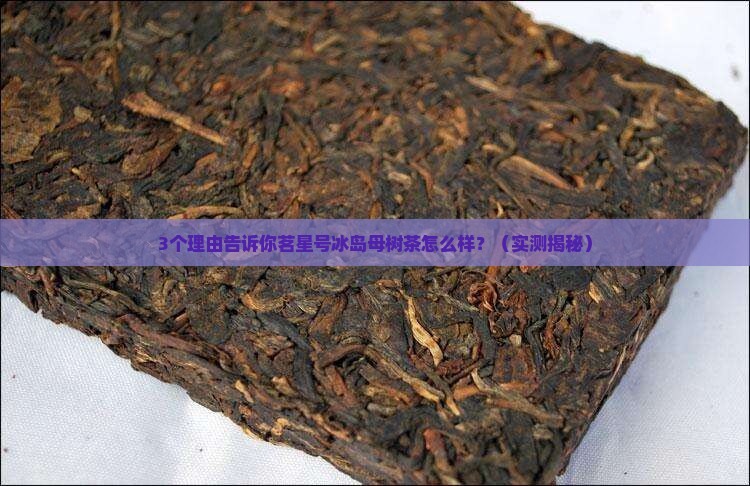茗星号冰岛母树茶怎么样