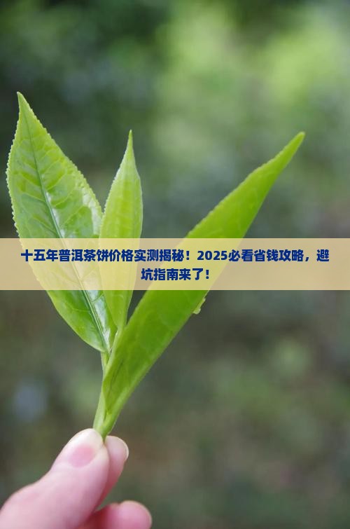 十五年普洱茶饼价格