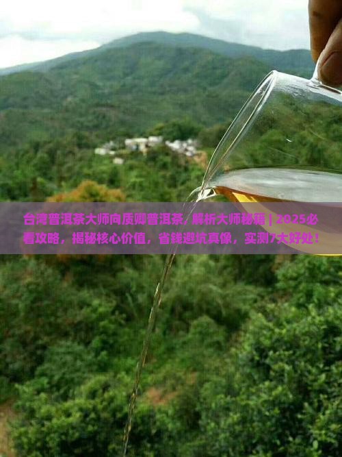 台湾普洱茶大师向质卿普洱茶