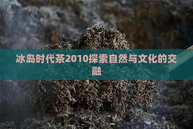 冰岛时代茶2010