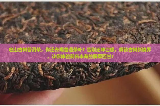 宏山古树普洱茶