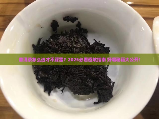 普洱茶买什么的好喝一点