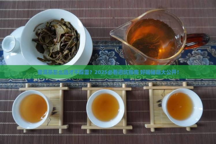 普洱茶买什么的好喝一点