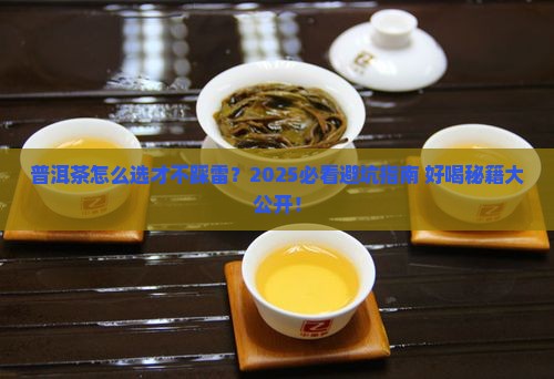 普洱茶买什么的好喝一点