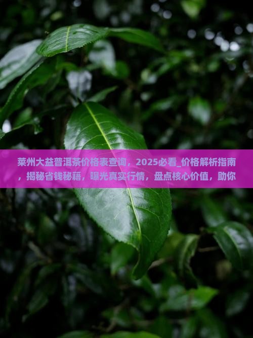 莱州大益普洱茶价格表查询
