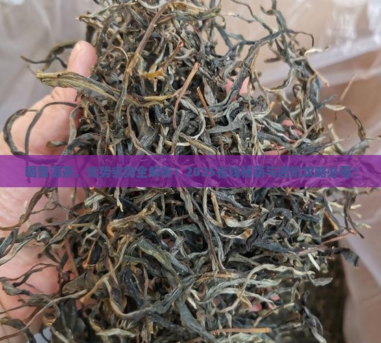 喝普洱茶的优势与劣势是什么