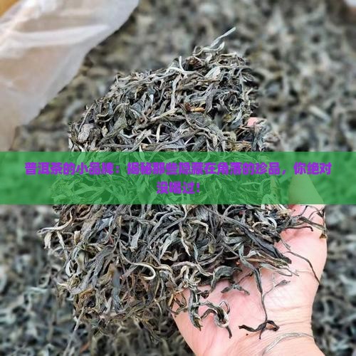 普洱茶的小品牌