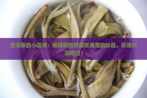 普洱茶的小品牌