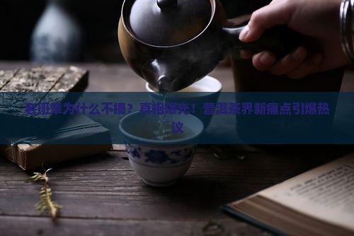 老班章为什么不摘