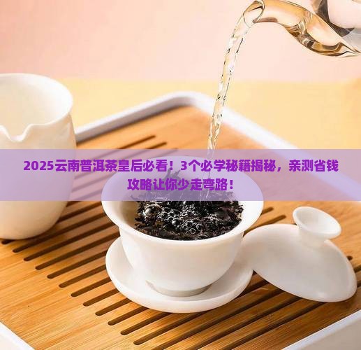 云南普洱茶皇后